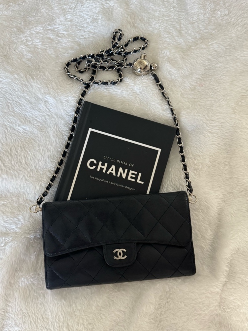 CHANEL Black Quilted Leather Chain Wallet Shoulder Bag with Silver Hardware - Picture 2 of 14